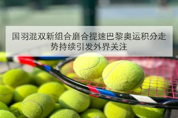 国羽混双新组合磨合提速巴黎奥运积分走势持续引发外界关注